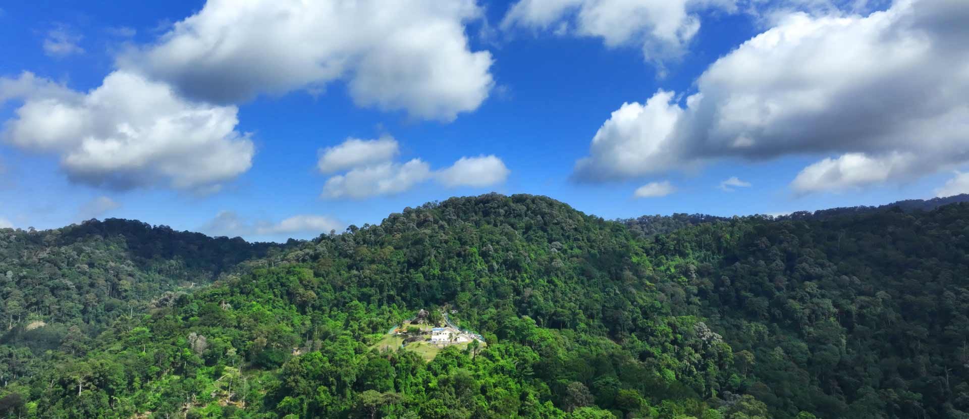 Environment-banner