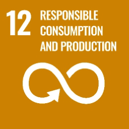 sdg-12