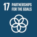 sdg-17