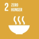 sdg-2