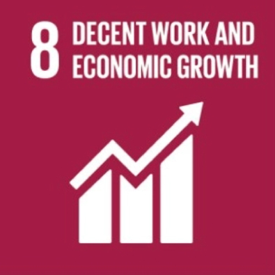 sdg-8
